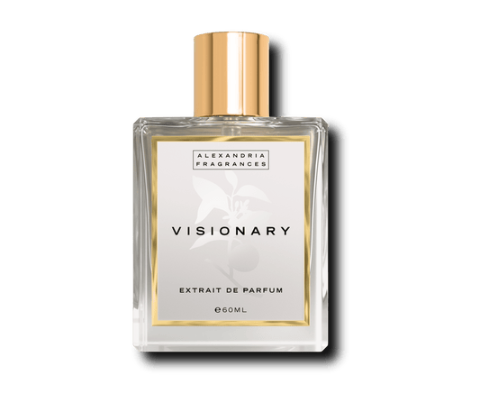 Visionary Inspired By Imagination LV Louis Vuitton